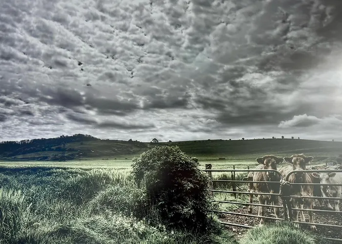 شقة Le De La Vieille Poste